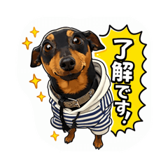 tomomi_20260129220723