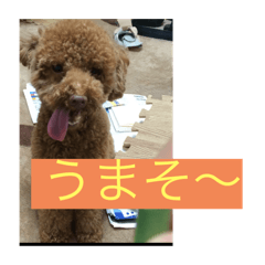 goto light_20260129222220