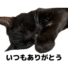 hinairoha_20260129222359