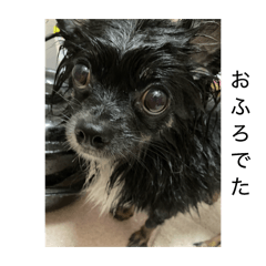 Riro and Kotetsu_20260129222349