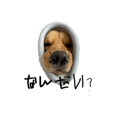 kotetsu_20260129222143