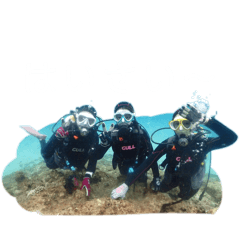 AYAKA_20260129222342