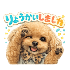 boniKare_20260129224219