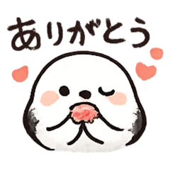 Cat lovers only_20260129225123