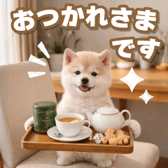 動く☆毎日使える癒やし柴犬