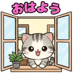 Sweet Silver Mackerel Tabby Cat5