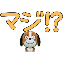 Moving Polite Beagle  12th