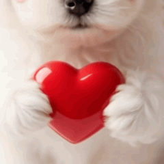 Daily Animated Puppy2