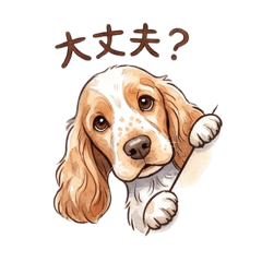 イングリッシュコッカー ☆オレンジローン