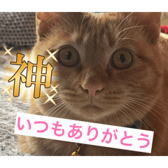 いっぱい思いっきりムギ