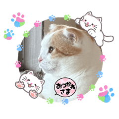 michiko_20260129173350