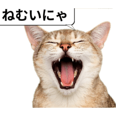 GDR-1_20260129234841