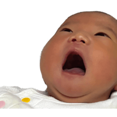 Yomogi_20260129233319