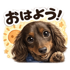 akubi_20260129234648