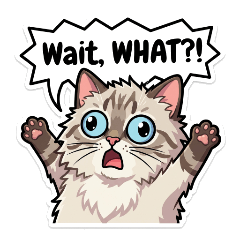 Cake the expressive cat