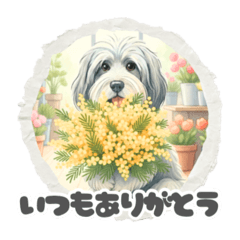 HUSA._20260130064339