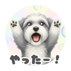 HUSA._20260130065443