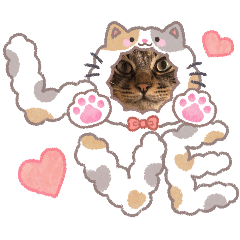 ririka_20260128193755