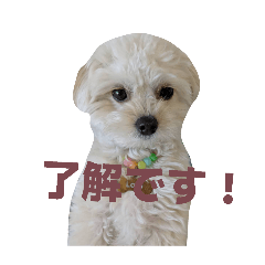 coconut_20260130091816