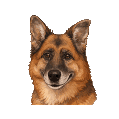 Rosie s Gentle Daily Stickers