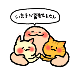 payasi_20260130002100