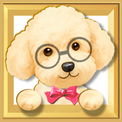 【めがねプードル】動く！幸せなプーの日常