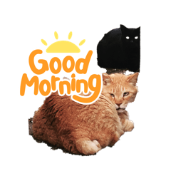 Black Cat NEKO & fancy Stamps