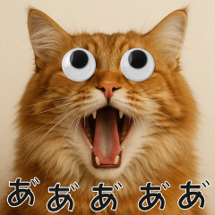 Moving Eyes Cat-Siberian