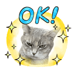 mocimimi_20260130000213