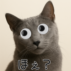 會動的眼睛貓-俄羅斯藍