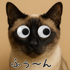 會動的眼睛的暹羅貓