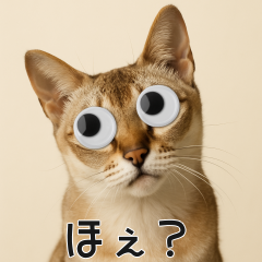 會動眼睛的貓 - 新加坡