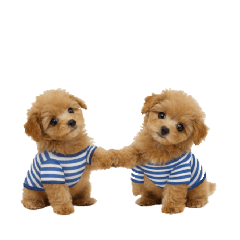 hide 555_20260130094847