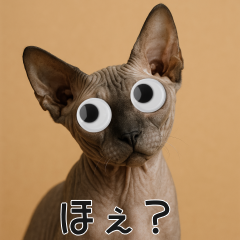 會動眼睛的貓 - 斯芬克斯