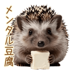 Gentle Hedgehog for Daily Use