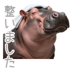 Relaxing Sauna Hippo Daily Use