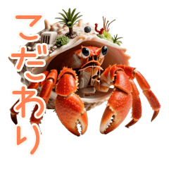 Stylish Home Hermit Crab Daily