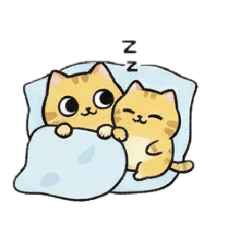 suisuisuu_20260129201241