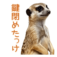 Nervous Meerkat Daily Stickers
