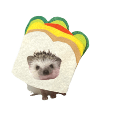 HariHari_20260130071154