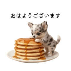 ayrihari_20260130072712