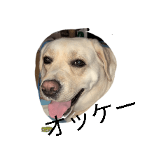 Adachi_20260130111059