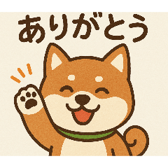 shibatan_20260130123052