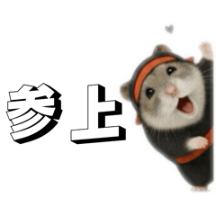 yamashikanai_20260130123710