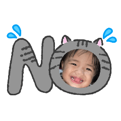 chinchin_20260129213305