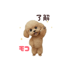 mokomama_20260130115328