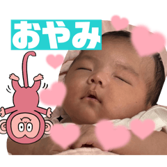 marisa_20260128212222