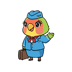 Flight attendant momo