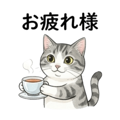 cocomaruru_20260130013655