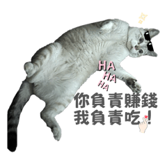 六喵寶貝